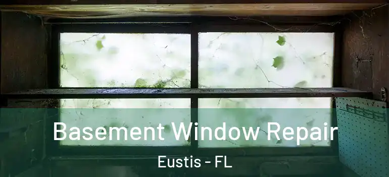  Basement Window Repair Eustis - FL