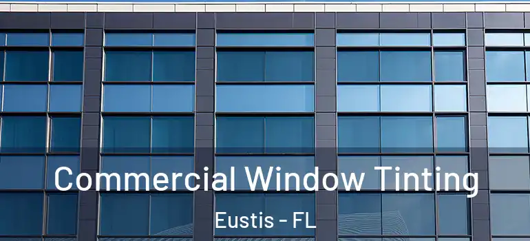  Commercial Window Tinting Eustis - FL