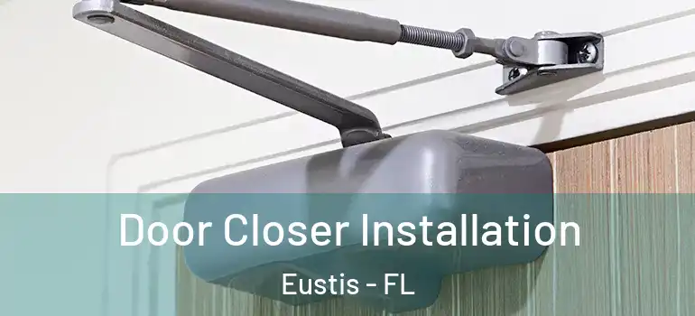  Door Closer Installation Eustis - FL