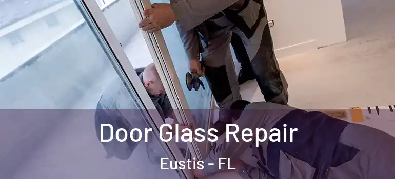  Door Glass Repair Eustis - FL