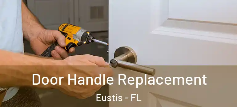  Door Handle Replacement Eustis - FL
