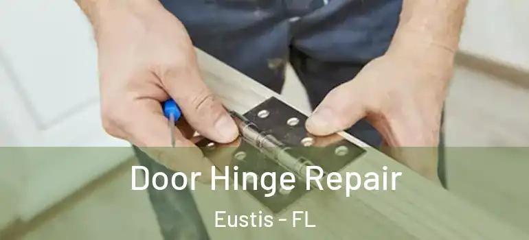  Door Hinge Repair Eustis - FL