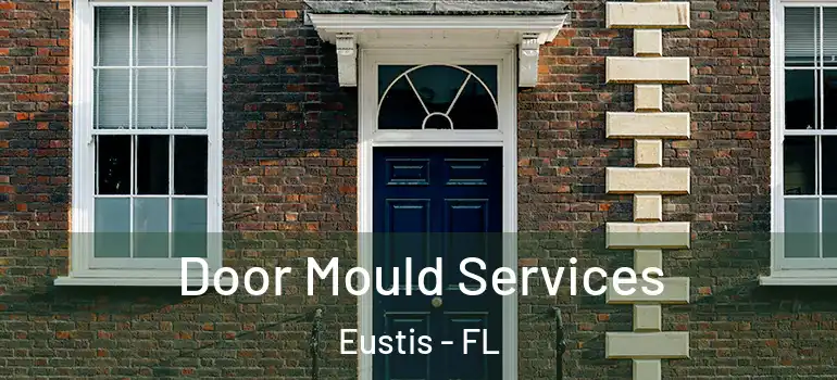  Door Mould Services Eustis - FL