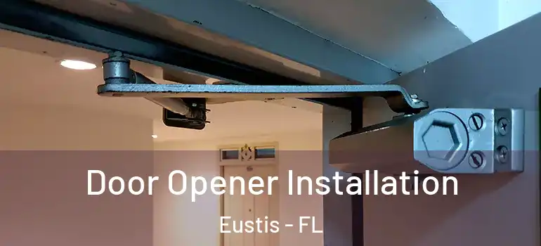  Door Opener Installation Eustis - FL