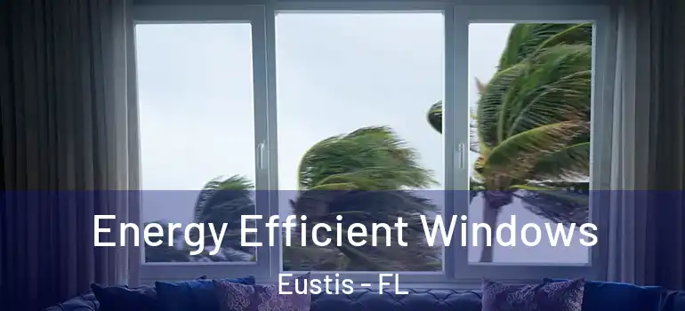  Energy Efficient Windows Eustis - FL