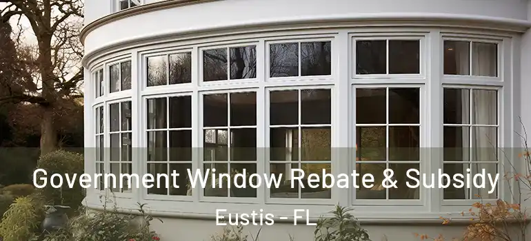  Government Window Rebate & Subsidy Eustis - FL