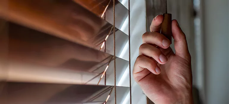 Double Roller Blinds in Eustis, FL