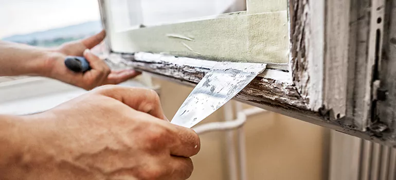 Exterior Window Frame Repair in Eustis, FL