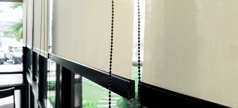 Blackout Window Shades in Eustis, FL