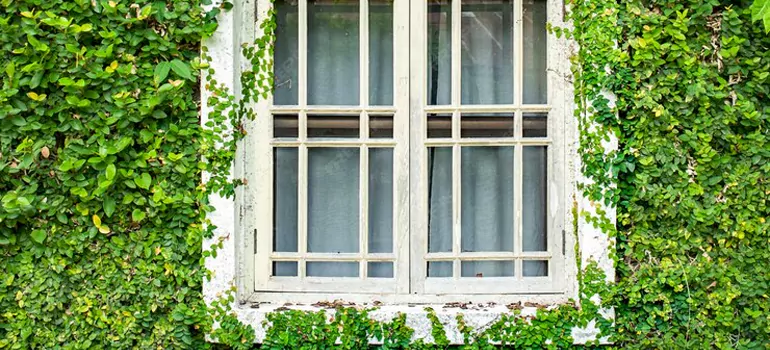 Garden Window Repair Near Me in Eustis, FL