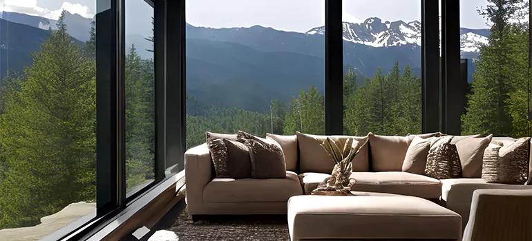 Picture Window Maintenance in Eustis, FL