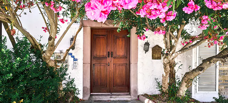 Traditional 4 Panel Internal Doors in Eustis, FL