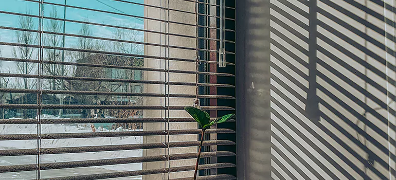 Commercial Window Blinds in Eustis, FL