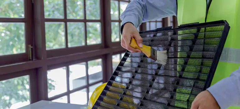 Traditional Window Grille Installation Options in Eustis, FL