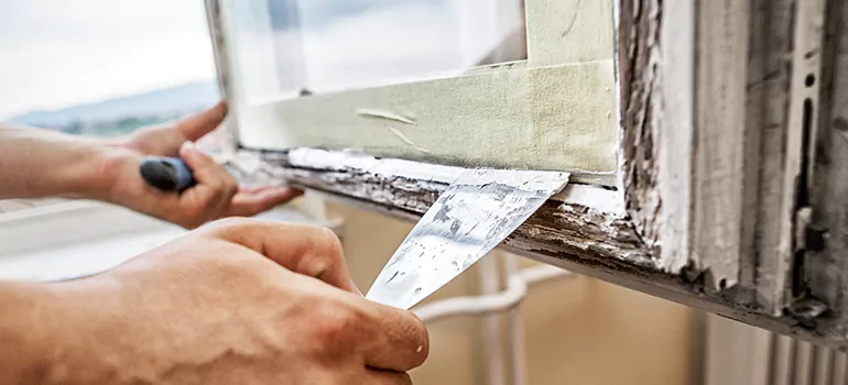 Custom Window Insulation Solutions in Eustis, FL