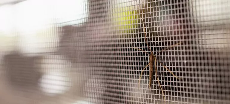 Repair Mosquito Mesh For Windows in Eustis, FL