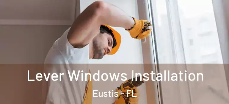  Lever Windows Installation Eustis - FL