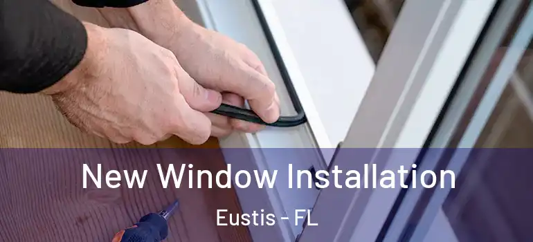  New Window Installation Eustis - FL