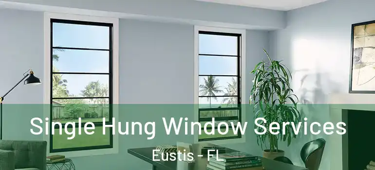  Single Hung Window Services Eustis - FL