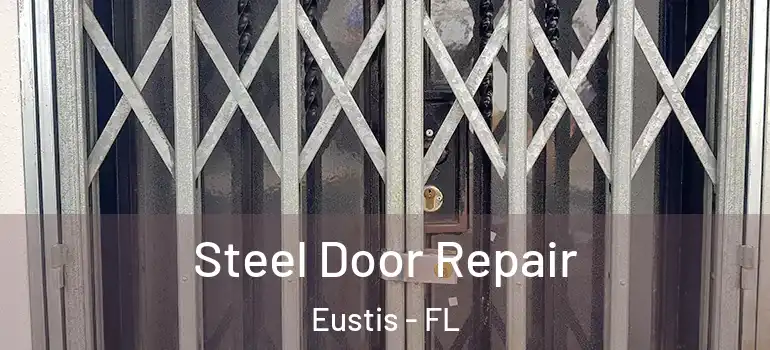  Steel Door Repair Eustis - FL