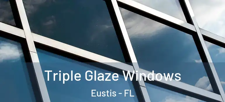  Triple Glaze Windows Eustis - FL