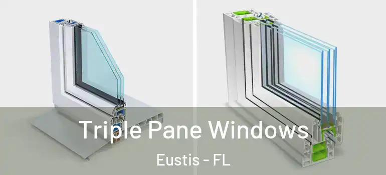  Triple Pane Windows Eustis - FL