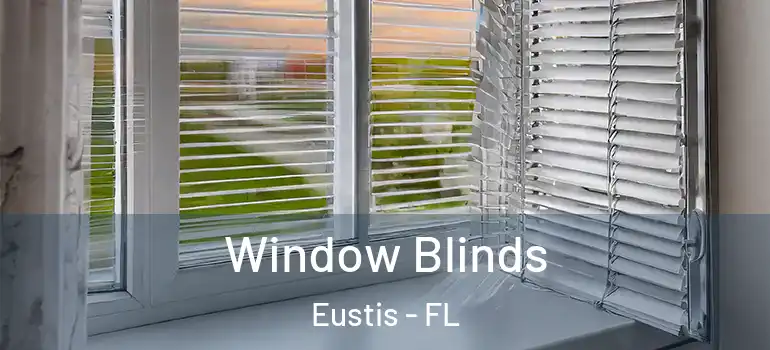  Window Blinds Eustis - FL