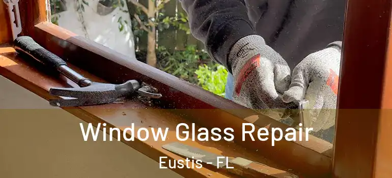  Window Glass Repair Eustis - FL