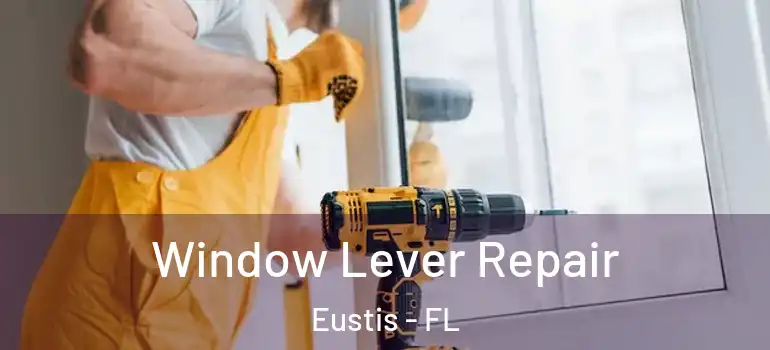  Window Lever Repair Eustis - FL