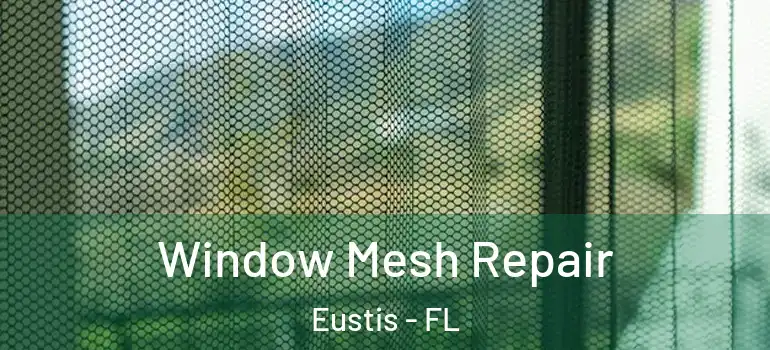  Window Mesh Repair Eustis - FL