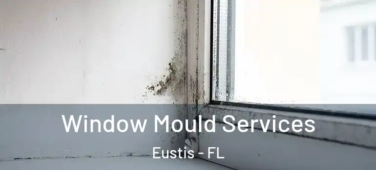  Window Mould Services Eustis - FL