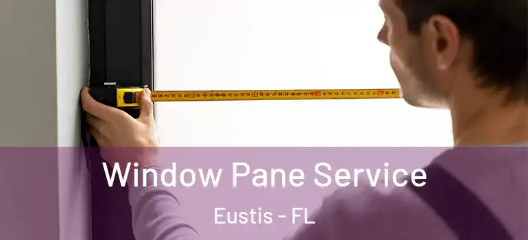  Window Pane Service Eustis - FL