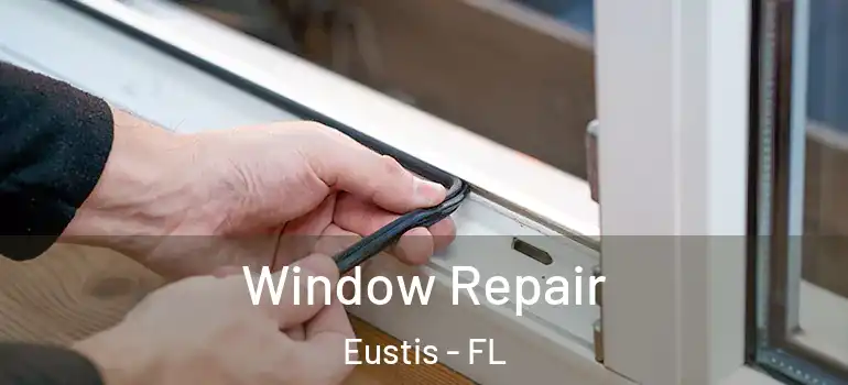  Window Repair Eustis - FL