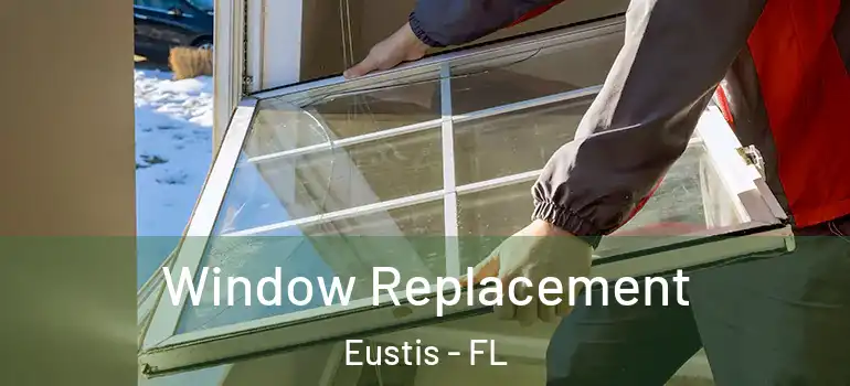  Window Replacement Eustis - FL
