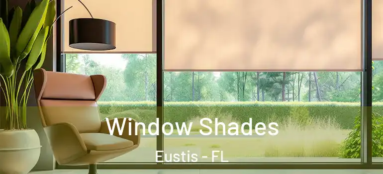  Window Shades Eustis - FL