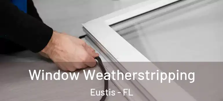  Window Weatherstripping Eustis - FL
